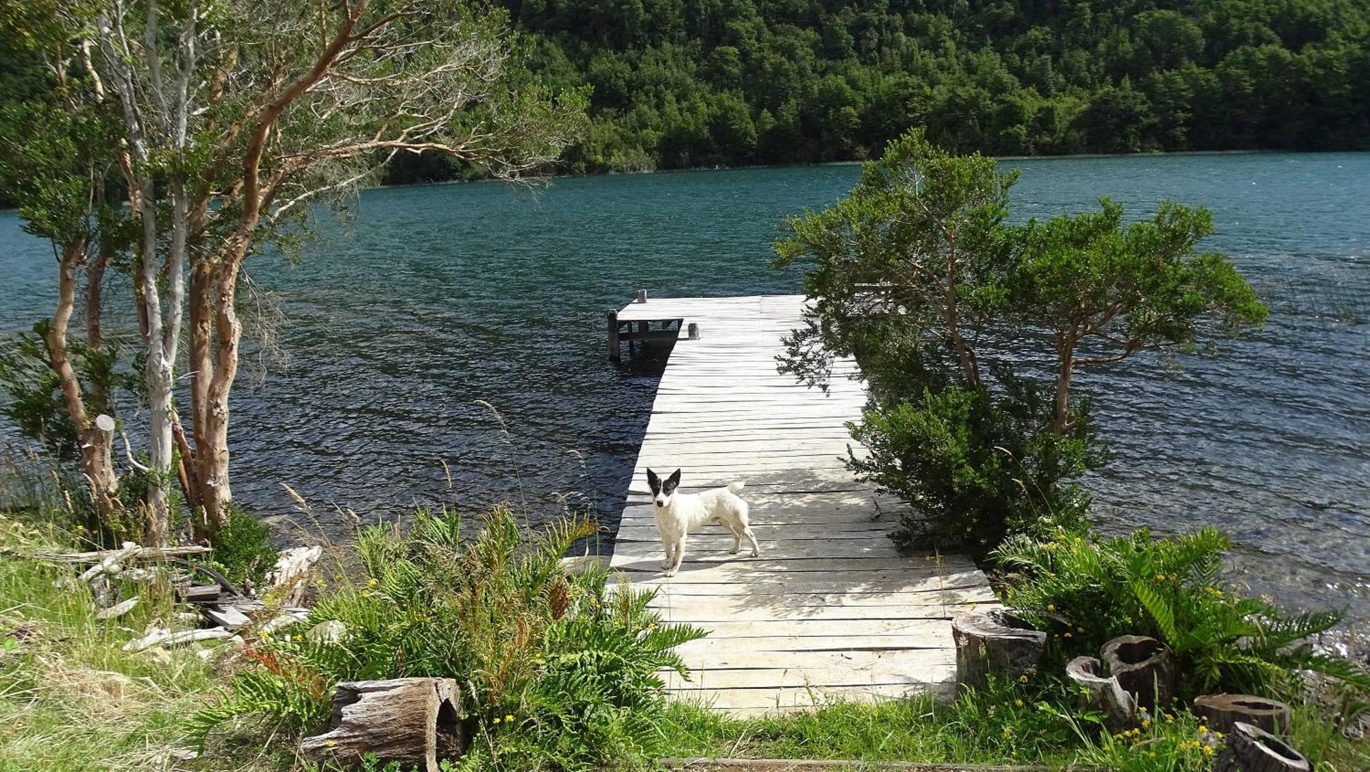 Refugio Del Chucao Llanada Grande